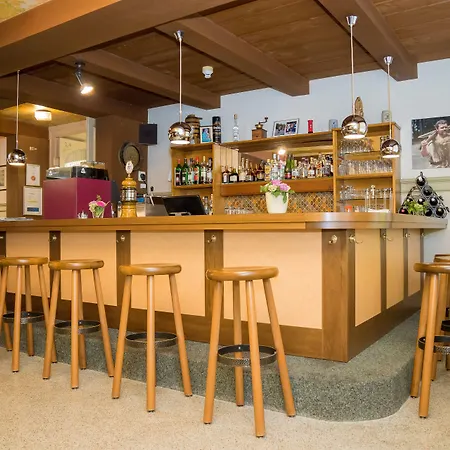 Hotel Waldhotel Unspunnen Wilderswil