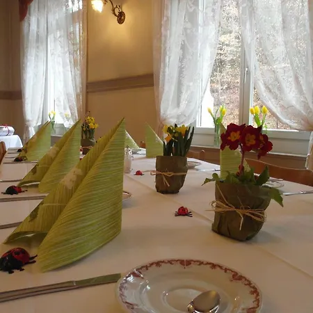 Hotel Waldhotel Unspunnen Wilderswil
