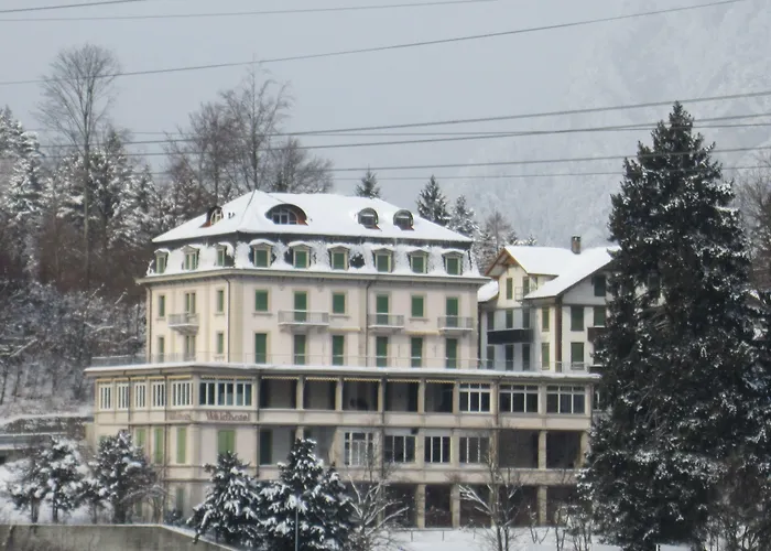 Waldhotel Unspunnen 2*