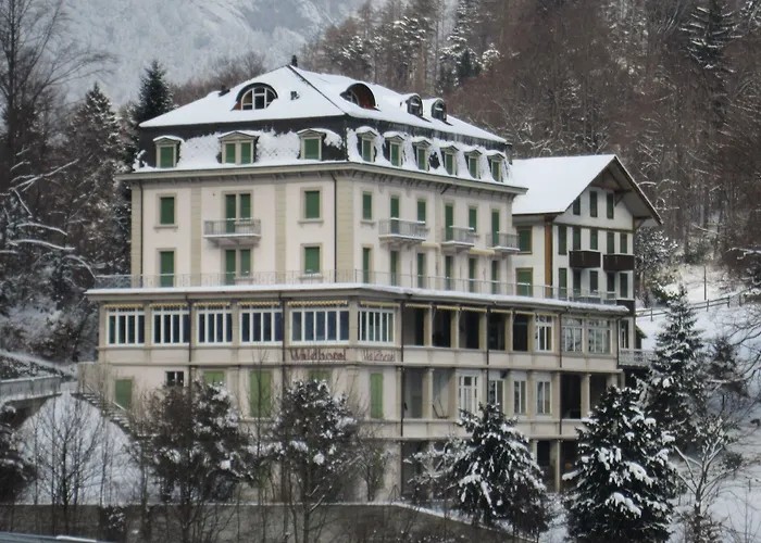 Hotel Waldhotel Unspunnen 2*
