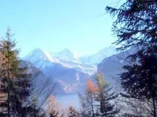 Waldhotel Unspunnen 2* Wilderswil